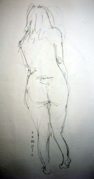 Coy nude pencil on paper 61cm x 41cm